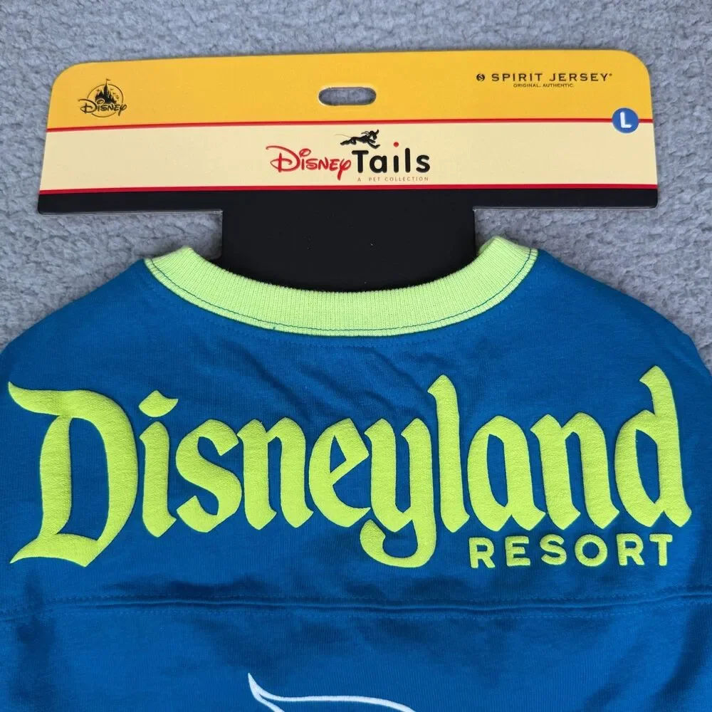 Disney disneyland resort